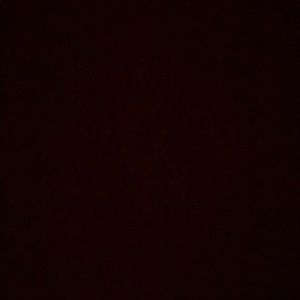 Meet your Posher, Lily